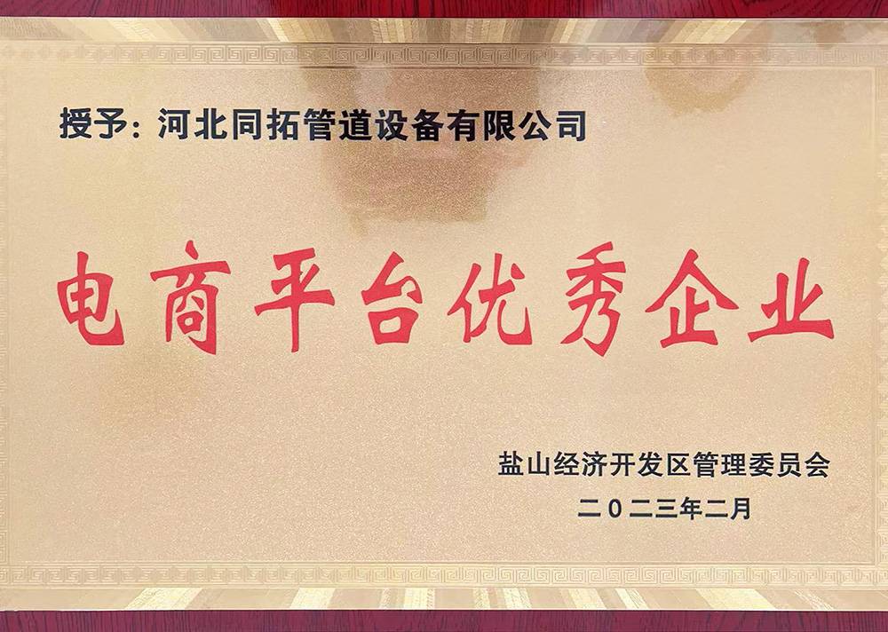 电商平台优秀企业